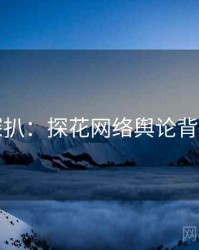 独家深扒：探花网络舆论背后原因