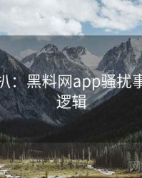 独家深扒：黑料网app骚扰事件热度逻辑