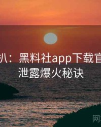 独家深扒：黑料社app下载官网数据泄露爆火秘诀