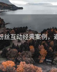 秀人网粉丝互动经典案例，避坑必读