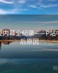 高清财经内幕全纪录——P站中文版背后原因