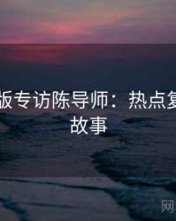 91网页版专访陈导师：热点复盘幕后故事